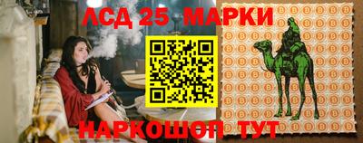 герыч Кингисепп
